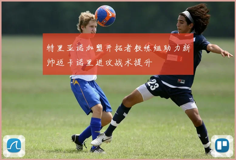 特里亚诺加盟开拓者教练组助力新帅迈卡诺里进攻战术提升