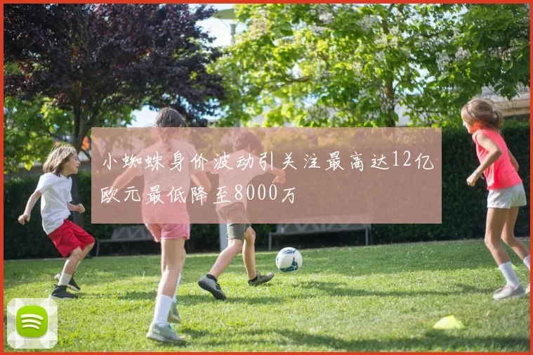 小蜘蛛身价波动引关注最高达12亿欧元最低降至8000万